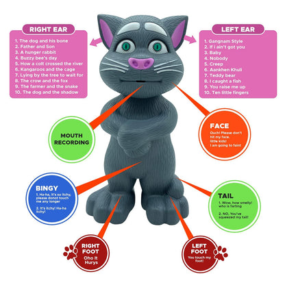 Intelligent Talking Tom Cat Toy – Interactive Talking & Singing, Touch-Activated, Fun & Educational Toy for Kids 3+