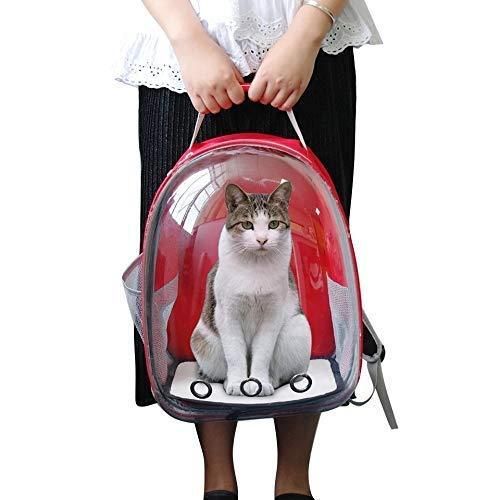 Cat Carrier Transparent Portable Backpack – Lightweight & Spacious