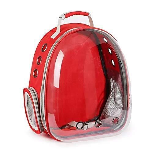 Cat Carrier Transparent Portable Backpack – Lightweight & Spacious